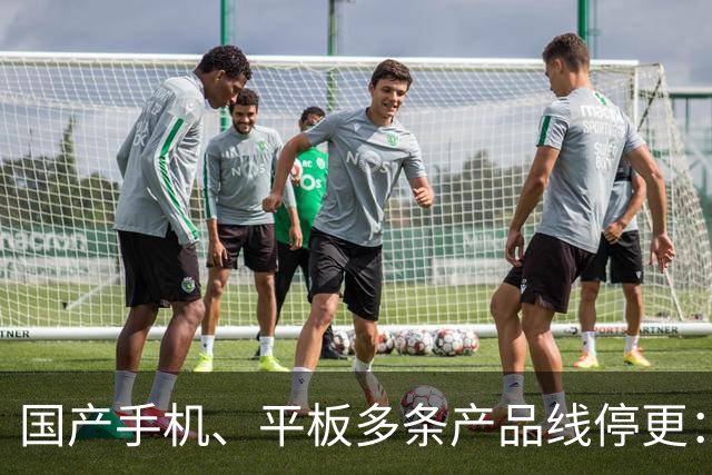 国产手机、平板多条产品线停更：发得越多 亏得越狠