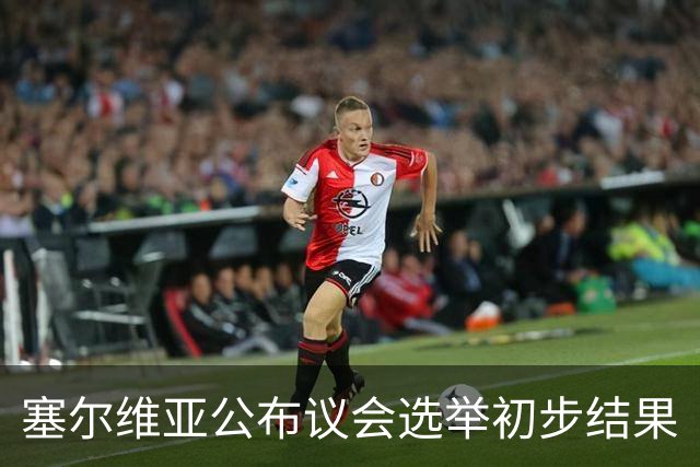 塞尔维亚公布议会选举初步结果
