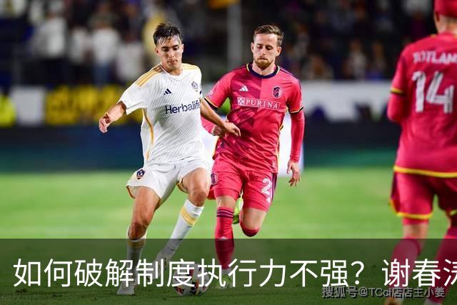 如何破解制度执行力不强？谢春涛：坚决纠正有令不行、有禁不止