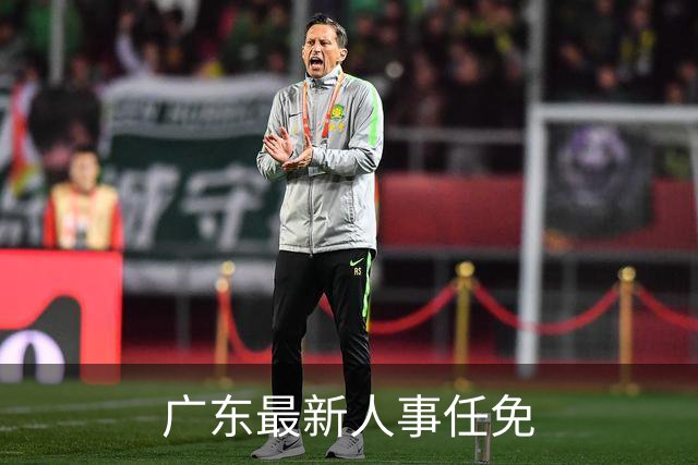 广东最新人事任免