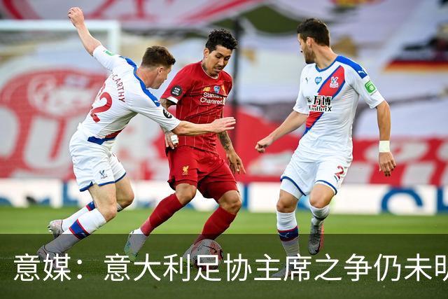 意媒：意大利足协主席之争仍未明朗，意甲联盟的11票至关重要